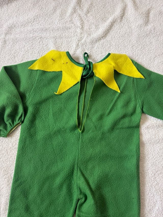 Disfraz Rana con Gorro