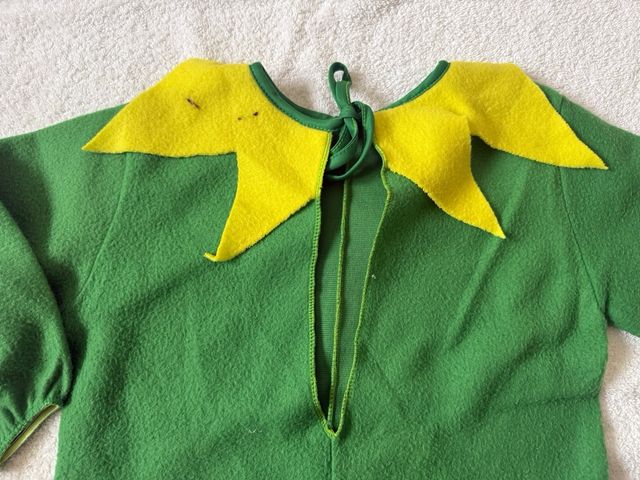 Disfraz Rana con Gorro