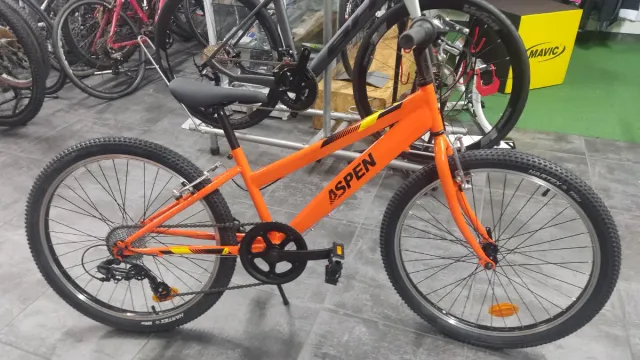 Bicicleta infantil Roda 24