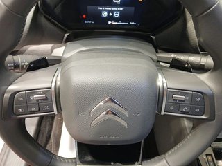 Citroën C5 X PureTech 96kW (130CV) S&S EAT8 Feel Pack
