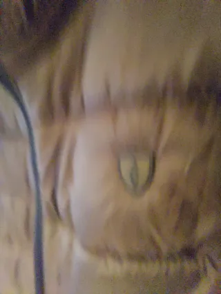 Chaleco Alvaro Moreno Marrón Talla S