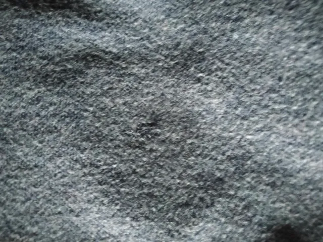 Chándal Colegios Vicencianos hijas de la Caridad