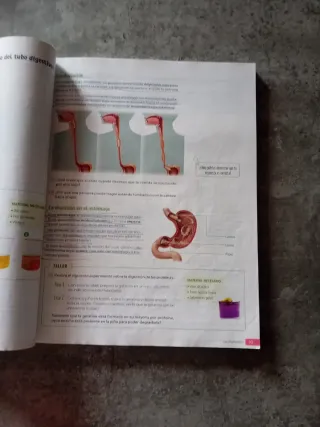 Biología y Geología. 3 Secundaria. Revuela. Pri...