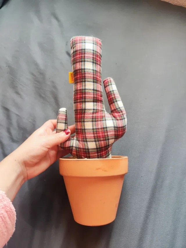 Maceta Cactus La Peseta