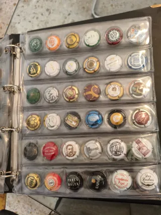 Álbum completo chapas de cava + 144 chapas