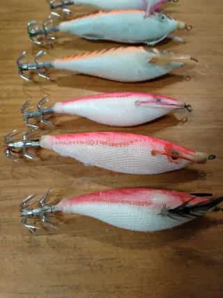 Egis calamar chipirón pesca barco barrigones