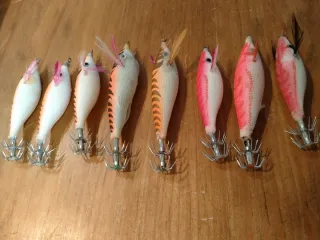 Egis calamar chipirón pesca barco barrigones