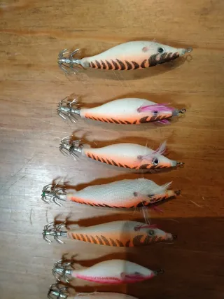 Egis calamar chipirón pesca barco barrigones