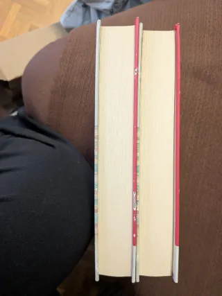 Don Quijote de la Mancha (2 tomos)