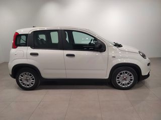 Fiat Panda Panda Hybrid 1.0 51kw (70CV)