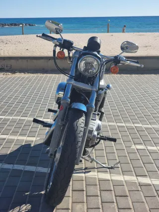 Harley Davidson Sportster 883 Low 2006