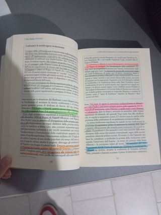 Il lungo Risorgimento la nascita dell'Italia co...