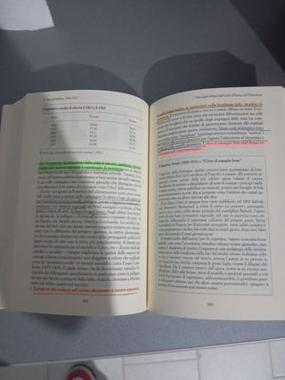 Il lungo Risorgimento la nascita dell'Italia co...