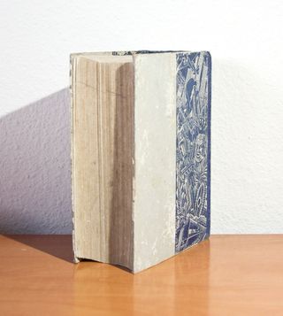 ENCICLOPEDIA AUTODIDÁCTICA. Ciencias, Letras, Arte