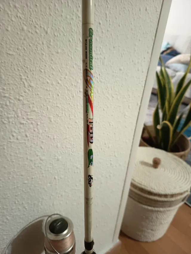 Caña de pescar con carrete