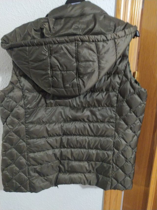 Chaleco mujer Lloyd's verde y marrón