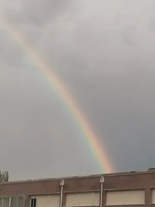 50 cuerpos de andamio europeo + accesorios