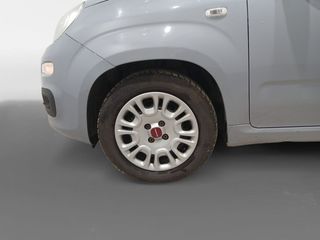 Fiat Panda City Life Hybrid 1.0 Gse 51kw (70CV)