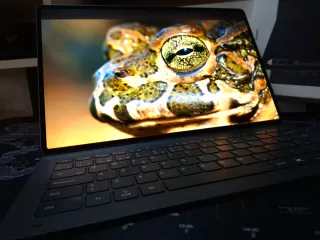 Samsung Galaxy Tab S10 Ultra 256GB + Funda Teclado