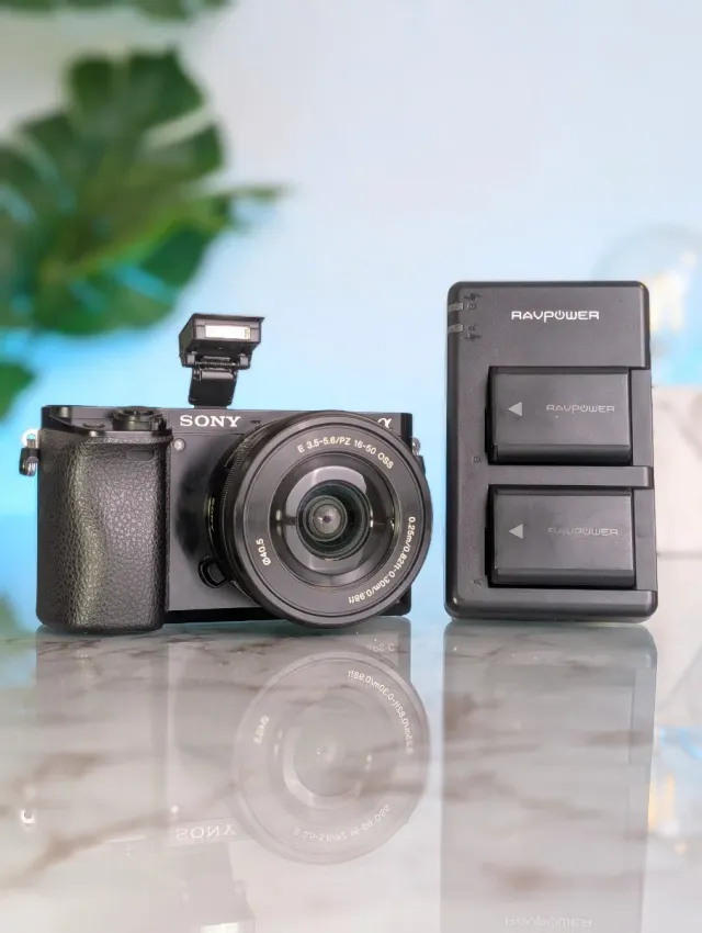 Sony A6000 + Obiettivo 16-50mm OSS