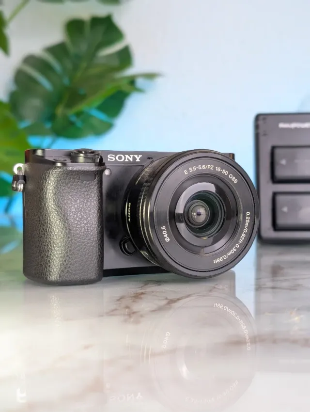 Sony A6000 + Obiettivo 16-50mm OSS