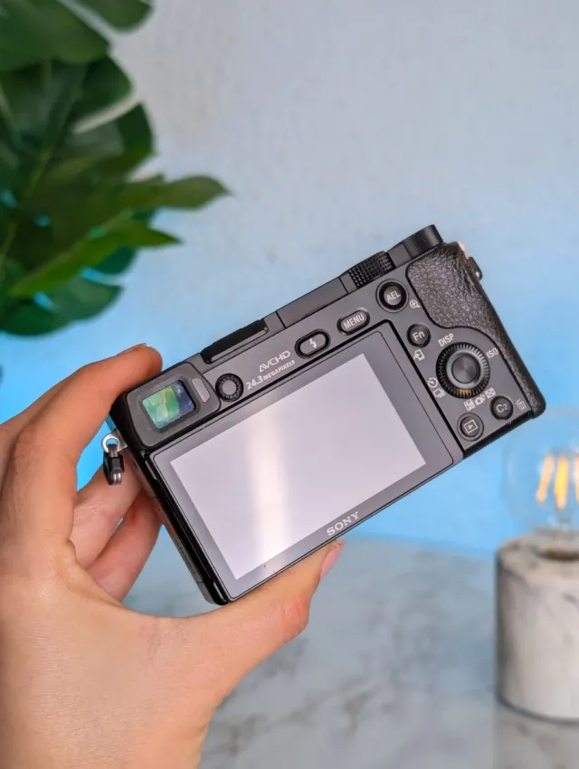 Sony A6000 + Obiettivo 16-50mm OSS