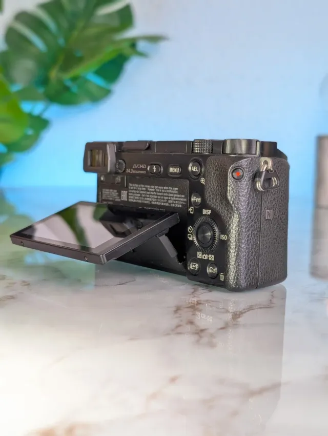 Sony A6000 + Obiettivo 16-50mm OSS