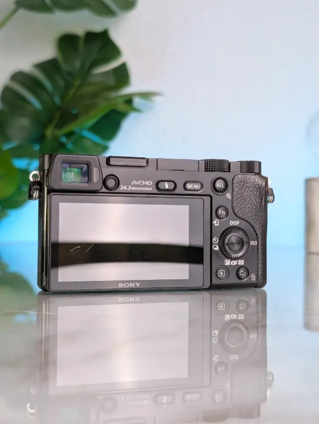 Sony A6000 + Obiettivo 16-50mm OSS