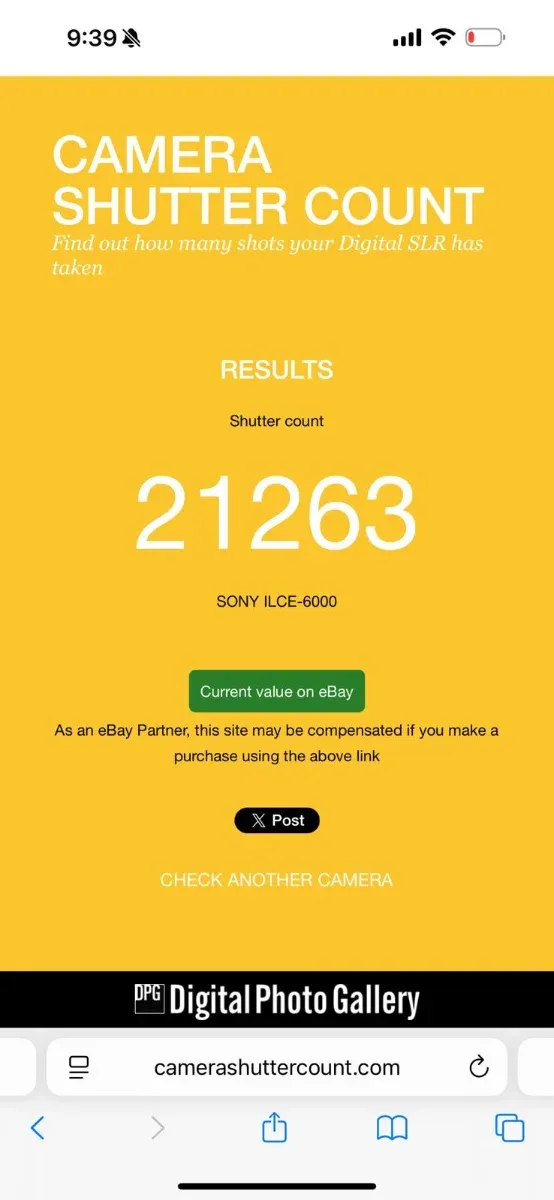 Sony A6000 + Obiettivo 16-50mm OSS