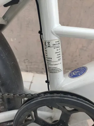 Bicicleta eléctrica G-Force RC ST