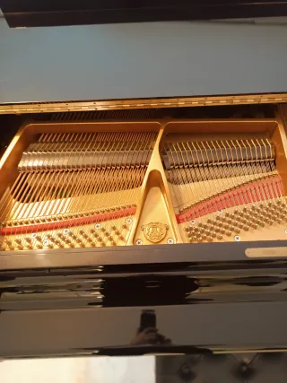 Piano de Cola Samick Negro SG 172