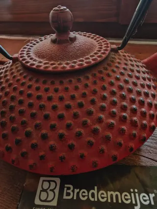 Teiera Giapponese in Ghisa Bredemeijer