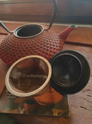 Teiera Giapponese in Ghisa Bredemeijer