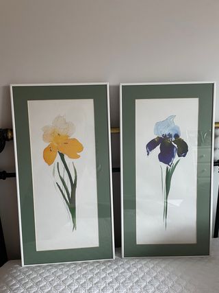 Set di 2 quadri con fiori ad acquerello