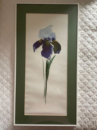 Set di 2 quadri con fiori ad acquerello