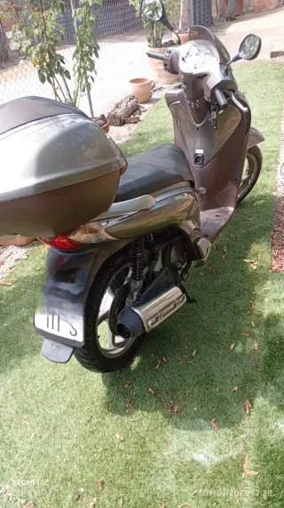 Honda SH 125 Scoopy