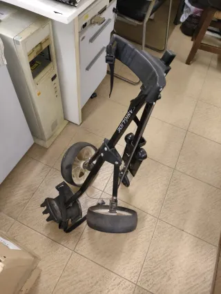 Carro de golf Easiglide