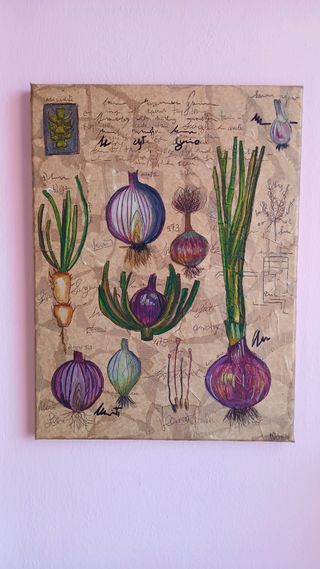 studio botanico della cipolla tavola artigianale