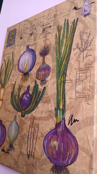 studio botanico della cipolla tavola artigianale