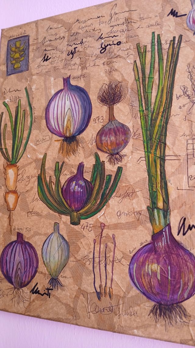 studio botanico della cipolla tavola artigianale
