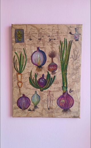 studio botanico della cipolla tavola artigianale