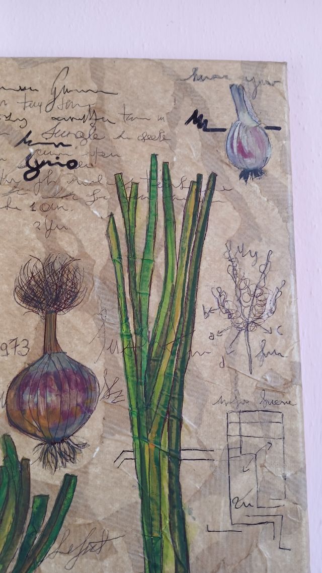 studio botanico della cipolla tavola artigianale