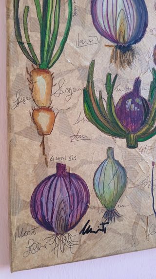 studio botanico della cipolla tavola artigianale