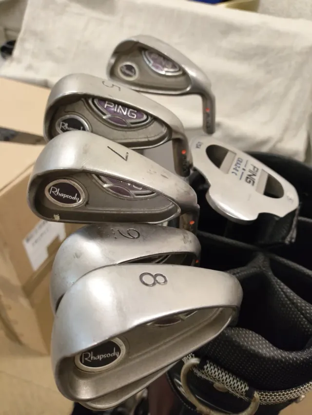 Set de palos rhapsody y bolsa de golf Dunlop