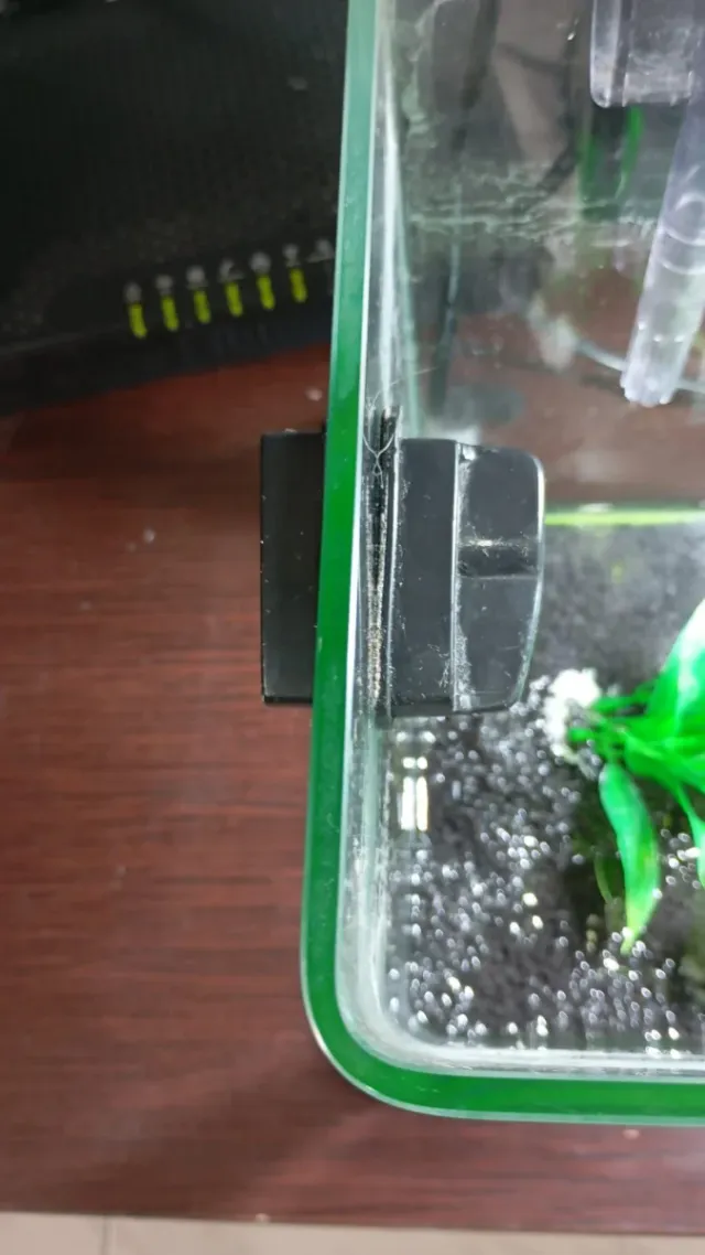 Pecera completa con accesorios