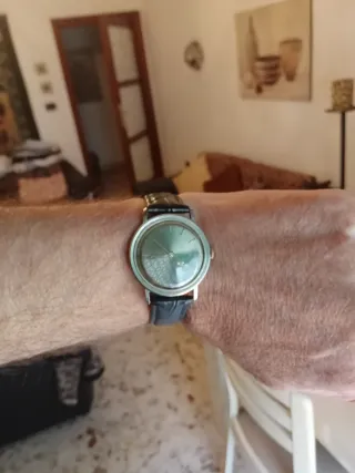 Orologio Philip Watch