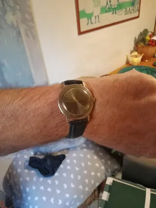 Orologio Philip Watch