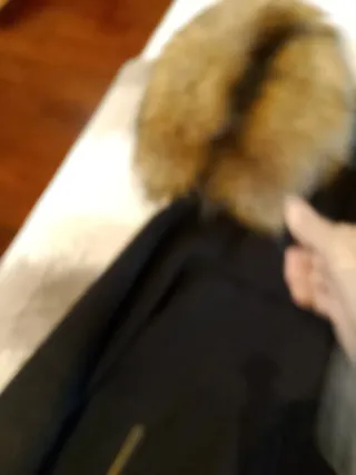 Chaquetón Zara Negro con Capucha Desmontable