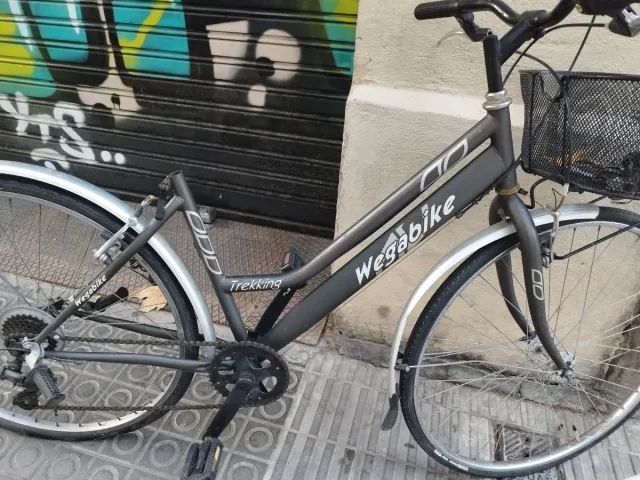 Bicicleta Wega Paseo