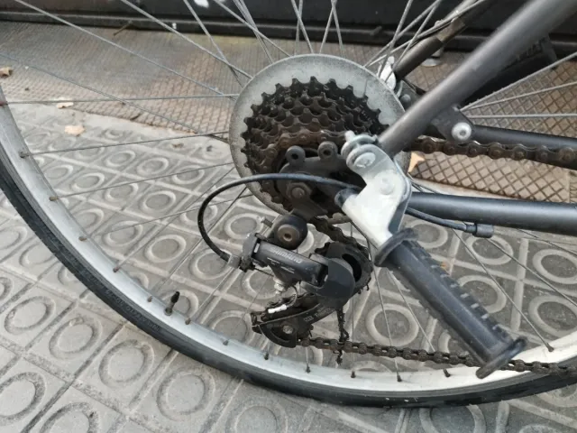 Bicicleta Wega Paseo